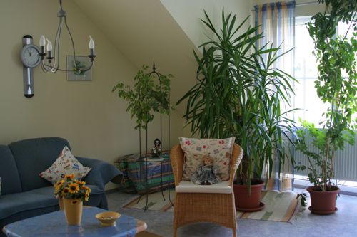 Geräumiges Wohnzimmer mit Pflanzen
